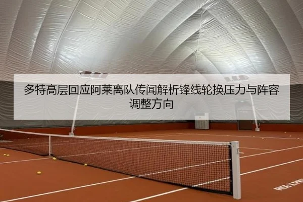 duo-te-gao-ceng-hui-ying-a-lai-li-dui-chuan-wen-jie-xi-feng-xian-lun-huan-ya-li-yu-zhen-rong-tiao-zheng-fang-xiang-2-132.jpg